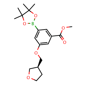 methyl (S)-3-((tetrahydrofuran-3-yl)methoxy)-5-(4,4,5,5-tetramethyl-1,3,2-dioxaborolan-2-yl)benzoate
