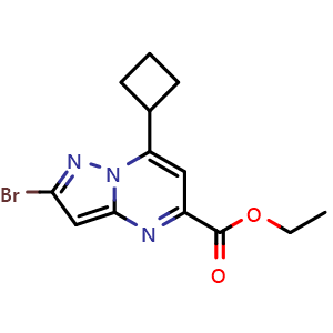 Chemical structure of ethyl 2-bromo-7-cyclobutylpyrazolo[1,5-a]pyrimidine-5-carboxylate , CAS 2035417-92-4, AChemBlock Y218721