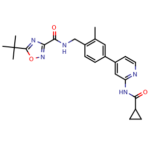 Chemical structure of 5-(tert-Butyl)-N-(4-(2-(cyclopropanecarboxamide)pyridin-4-yl)-2-methylbenzyl)-1,2,4-oxadiazole-3-methyl Amide , CAS 2554376-82-6, AChemBlock Y219838