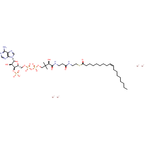 Chemical structure of Oleoyl coenzyme A (lithium) , CAS 188824-37-5, AChemBlock Y220584