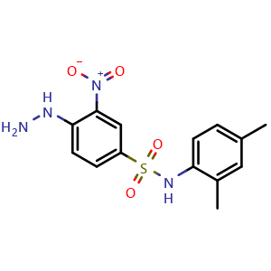 N-(2,4-Dimethylphenyl)-4-hydrazinyl-3-nitrobenzene-1-sulfonamide