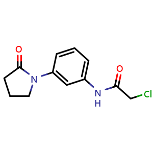 Chemical structure of 2-Chloro-n-[3-(2-oxopyrrolidin-1-yl)phenyl]acetamide , CAS 923177-94-0, AChemBlock Y221716