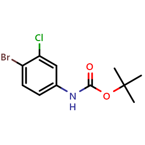 Chemical structure of Tert-butyl 4-bromo-3-chlorophenylcarbamate , CAS 1092493-67-8, AChemBlock Y224126
