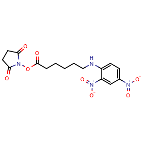 Chemical structure of 2,5-dioxopyrrolidin-1-yl 6-((2,4-dinitrophenyl)amino)hexanoate , CAS 82321-04-8, AChemBlock Y224323