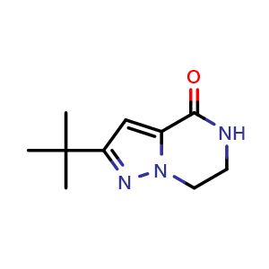 2-(tert-butyl)-6,7-dihydropyrazolo[1,5-a]pyrazin-4(5H)-one