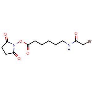 Chemical structure of 2,5-dioxopyrrolidin-1-yl 6-(2-bromoacetamido)hexanoate , CAS 109880-16-2, AChemBlock Y224808