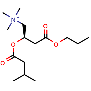 Chemical structure of (R)-N,N,N-trimethyl-2-((3-methylbutanoyl)oxy)-4-oxo-4-propoxybutan-1-aminium , AChemBlock Y224876
