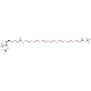 Biotin-PEG6-t-butyl ester