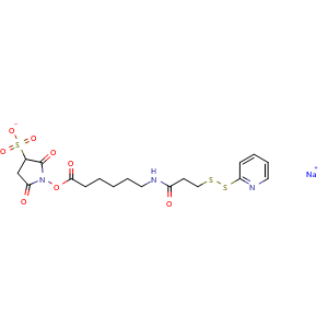 Chemical structure of Sulfo-AC5-SPDP , CAS 169751-10-4, AChemBlock Y225494