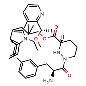 Chemical structure of (8S,14S)-8-amino-22-ethyl-21-[2-[(1S)-1-methoxyethyl]pyridin-3-yl]-18,18-dimethyl-16-oxa-10,22,28-triazapentacyclo[18.5.2.12,6.110,14.023,27]nonacosa-1(26),2,4,6(29),20,23(27),24-heptaene-9,15-dione , CAS 2641822-32-2, AChemBlock Y225559