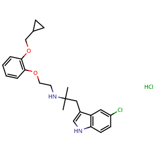 RS 17053 hydrochloride