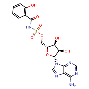 Chemical structure of Salicyl-AMS , CAS 863238-55-5, AChemBlock Y226885