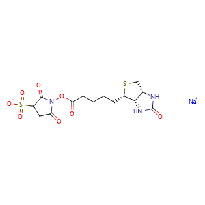 Chemical structure of Sulfo-NHS-Biotin , CAS 194041-65-1, AChemBlock Y227024