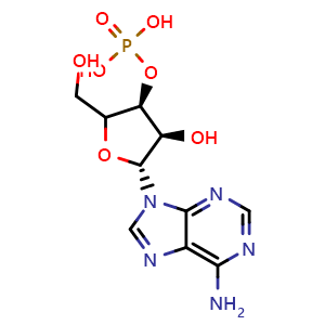 Chemical structure of 3'-Adenylic acid , CAS 84-21-9, AChemBlock Y227031