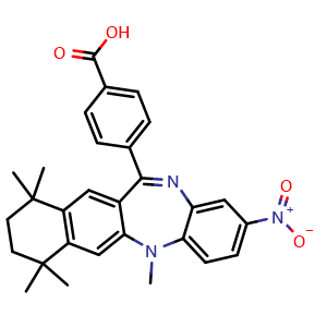 HX 531