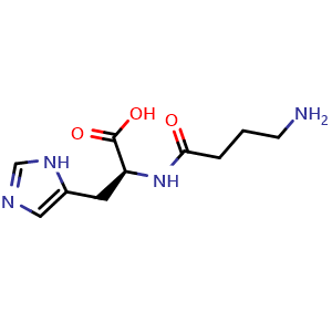 Chemical structure of Homocarnosine acetate , AChemBlock Y227867