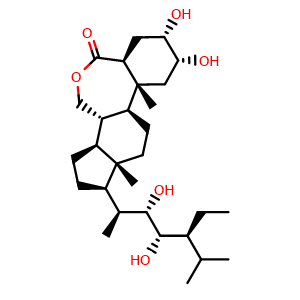 Chemical structure of (22S,23S)-Homobrassinolide , CAS 80483-89-2, AChemBlock Y228247