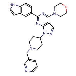 WAY-600