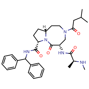 Xevinapant