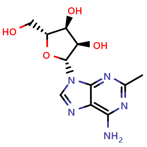 Chemical structure of 2-Methyladenosine , CAS 16526-56-0, AChemBlock Y229891