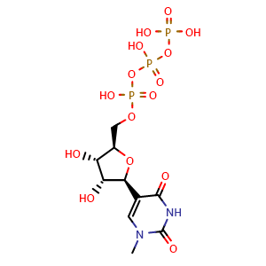 Chemical structure of ((2R,3S,4R,5S)-3,4-dihydroxy-5-(1-methyl-2,4-dioxo-1,2,3,4-tetrahydropyrimidin-5-yl)tetrahydrofuran-2-yl)methyl tetrahydrogen triphosphate , CAS 1428903-59-6, AChemBlock Y230846