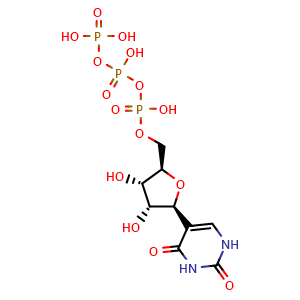 Chemical structure of ((2R,3S,4R,5S)-5-(2,4-Dioxo-1,2,3,4-tetrahydropyrimidin-5-yl)-3,4-dihydroxytetrahydrofuran-2-yl)methyl tetrahydrogen triphosphate , CAS 1175-34-4, AChemBlock Y230847