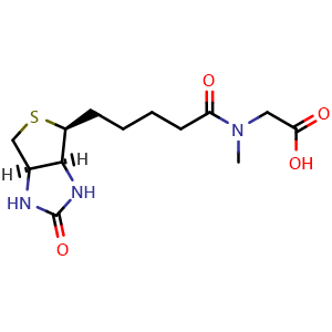 Chemical structure of N-methyl-N-(5-((3aS,4S,6aR)-2-oxohexahydro-1H-thieno[3,4-d]imidazol-4-yl)pentanoyl)glycine , CAS 154024-76-7, AChemBlock Y231698