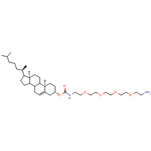 Chemical structure of (3S,10R,13R)-10,13-dimethyl-17-((R)-6-methylheptan-2-yl)-2,3,4,7,8,9,10,11,12,13,14,15,16,17-tetradecahydro-1H-cyclopenta[a]phenanthren-3-yl (14-amino-3,6,9,12-tetraoxatetradecyl)carbamate , AChemBlock Y232052