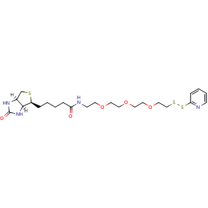 Chemical structure of 5-((3aS,4S,6aR)-2-oxohexahydro-1H-thieno[3,4-d]imidazol-4-yl)-N-(2-(2-(2-(2-(pyridin-2-yldisulfaneyl)ethoxy)ethoxy)ethoxy)ethyl)pentanamide , AChemBlock Y232145