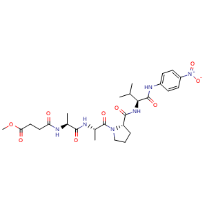 MeOSuc-Ala-Ala-Pro-Val-pNA