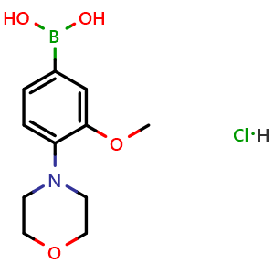 Chemical structure of (3-Methoxy-4-morpholinophenyl)boronic acid hydrochloride , AChemBlock Y233476