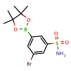 Chemical structure of 3-Bromo-5-(4,4,5,5-tetramethyl-1,3,2-dioxaborolan-2-yl)benzenesulfonamide , CAS 2764835-62-1, AChemBlock Y233579