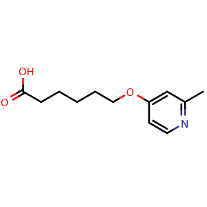 Chemical structure of 6-((2-methylpyridin-4-yl)oxy)hexanoic acid , CAS 3037682-60-0, AChemBlock Y233606