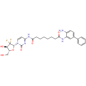 Chemical structure of N1-(4-Amino-[1,1'-biphenyl]-3-yl)-N8-(1-((2R,4R,5R)-3,3-difluoro-4-hydroxy-5-(hydroxymethyl)tetrahydrofuran-2-yl)-2-oxo-1,2-dihydropyrimidin-4-yl)octanediamide , CAS 3037659-03-0, AChemBlock Y234004