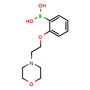 Chemical structure of 2-(2-Morpholin-4-yl-ethoxy)-phenylboronic acid , CAS 1310930-78-9, AChemBlock Y234240