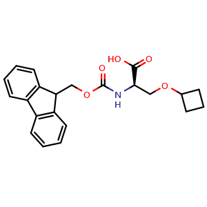 (2R)-3-(cyclobutoxy)-2-(9H-fluoren-9-ylmethoxycarbonylamino)propanoic acid