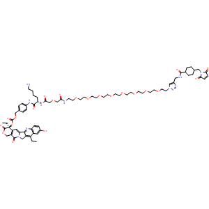 CL2A-SN-38