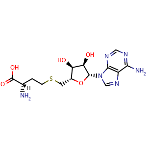 Chemical structure of Adenosylhomocysteine , CAS 979-92-0, AChemBlock Z237992