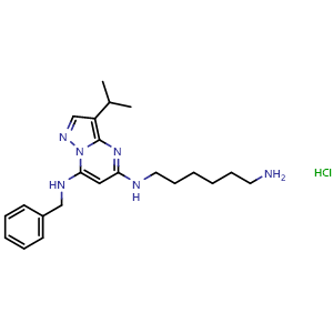Chemical structure of BS-181 hydrochloride , CAS 1397219-81-6, AChemBlock Z238727