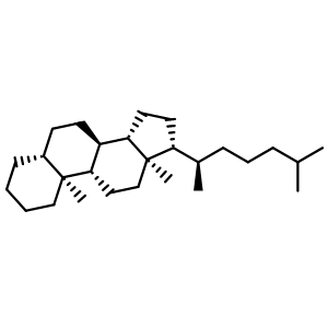 Chemical structure of 5alpha-Cholestane , CAS 481-21-0, AChemBlock Z238860